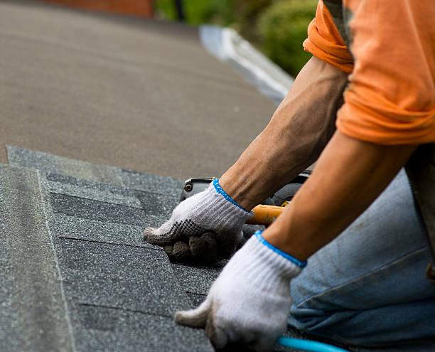 Best Metal Roofing Contractor  in Blue Ridge, AL