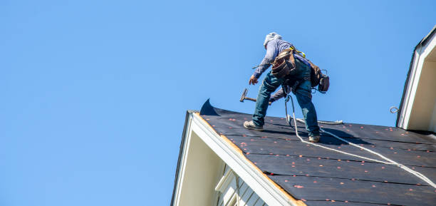 Best Storm Damage Roof Repair  in Blue Ridge, AL
